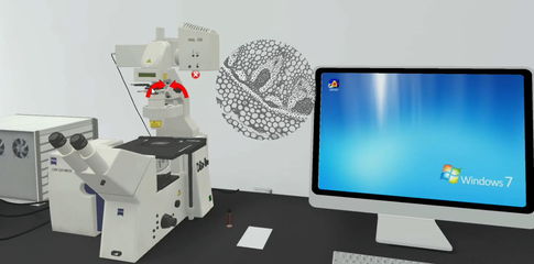 北京欧倍尔激光扫描共聚焦显微镜虚拟仿真软件 设备、功能与教学价值